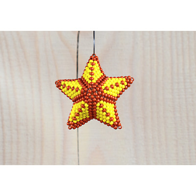 3D hvězda Sierra Dandelion